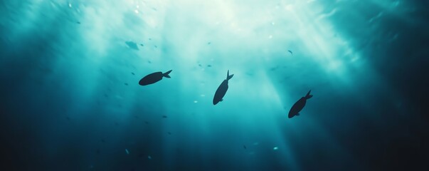 Obraz premium Three fish swim through a blue ocean with sunlight shining down.