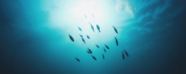 Fototapeta premium Silhouettes of fish swimming in a bright blue ocean. Sunlight shines from above, creating a sense of tranquility.