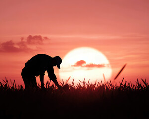 A silhouetted farmer tending to crops against a breathtaking sunset backdrop, showcasing the beauty of agricultural life and the connection between humans and nature.