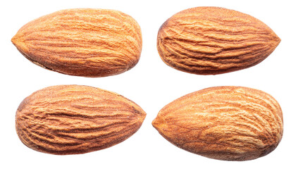 Set of shelled almond nuts isolated on white background. File contains clipping paths.