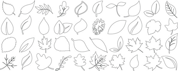 Leaf outlines, botanical line art, isolated leaf sketches, simple leaf shapes, vector foliage design elements for nature theme projects, autumn and spring designs, organic minimalistic nature symbols