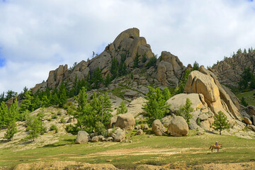 Mountain landscape view in Gorkhi Terelj National Park, Mongolia