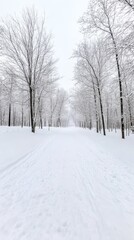 Obraz premium Snow-covered path surrounded by bare trees in a winter wonderland.