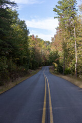 road in autumn forest