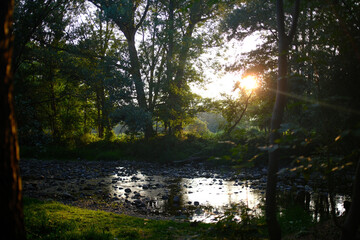 river with water landscape with sunset and trees