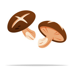 Shiitake mushroom vector isolated illustration