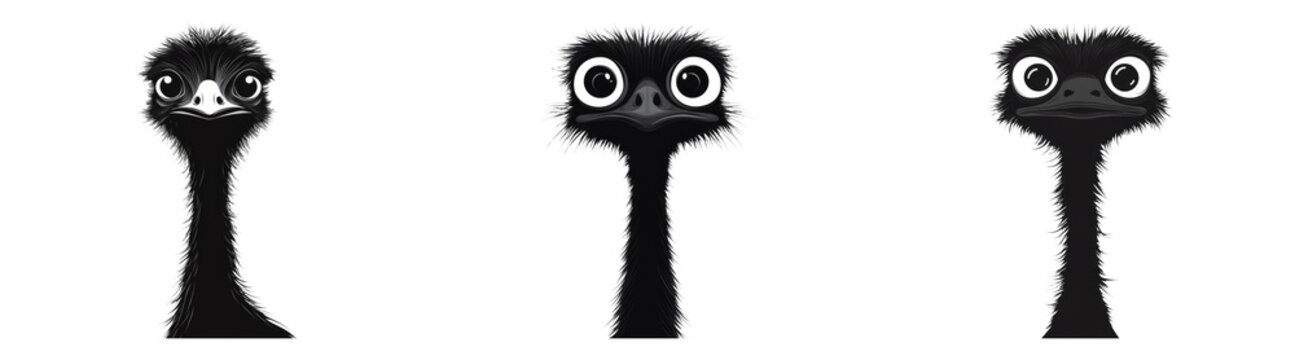 Stylized ostrich heads isolated on transparent background perfect for animal-themed designs or playful illustrations