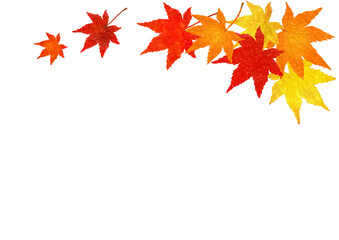 紅葉したもみじのフレーム