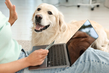 Online pet shop. Woman with laptop, credit card and cute Golden Retriever dog making order at home, closeup