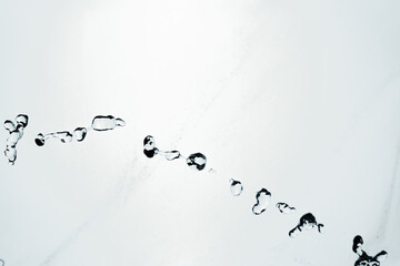 Water splash isolated on blue background. Transparent realistic water with movement and drops. Dynamic flight of water drops.
