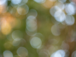 Lights and Green with Red color on nature defocus abstract blur background