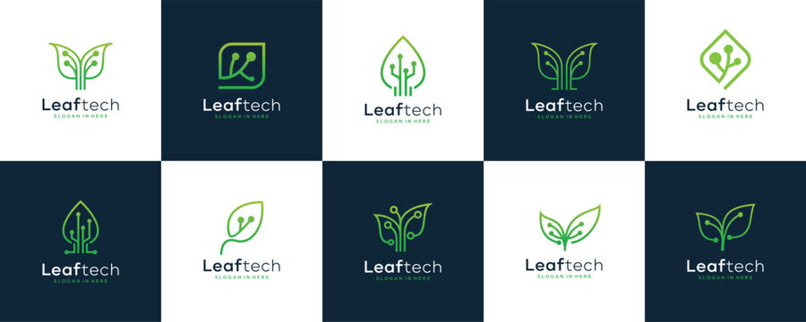 Set of collection Green leaf  ecology icon set logo design,  Innovative digital technology concept business