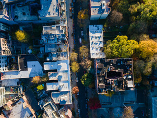 Obraz premium Aerial top down of Prospect Heights Brooklyn city skyline during fall in New York City NY