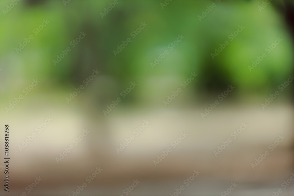 Poster Forest background out of focus. Soft image with sunny weather. Round bokeh. Green background for design.
