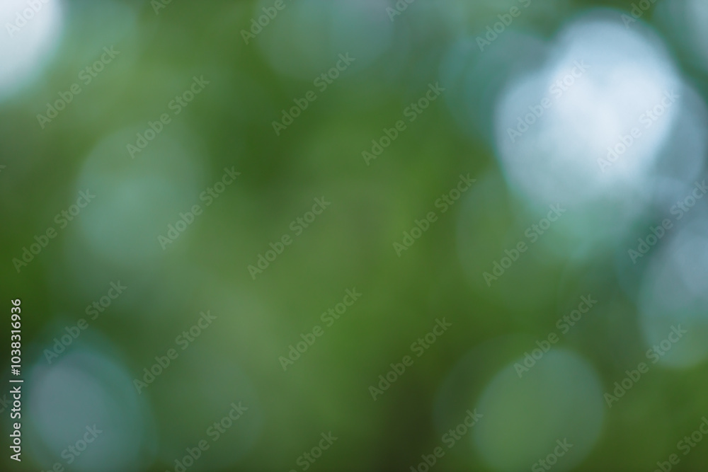 Poster Forest background out of focus. Soft image with sunny weather. Round bokeh. Green background for design.