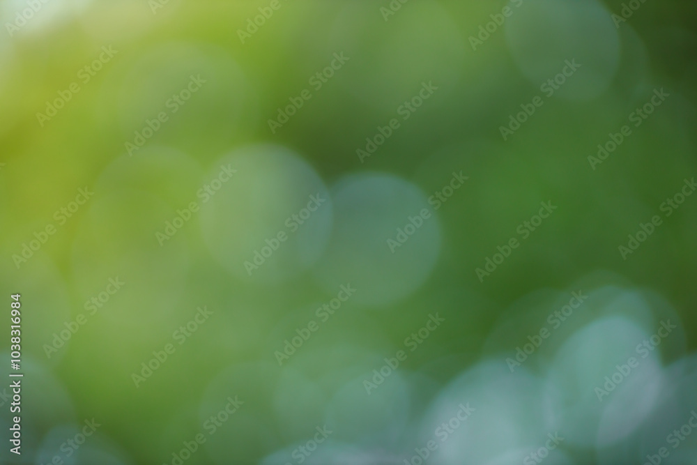 Aufkleber forest background out of focus. soft image with sunny weather. round bokeh. green background for des