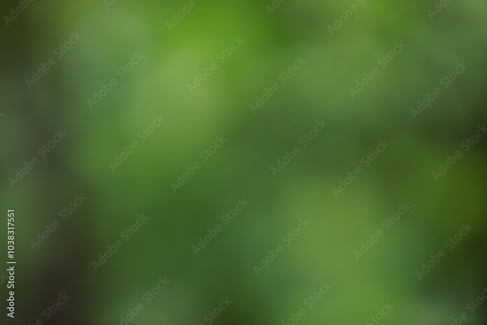 Poster Forest background out of focus. Soft image with sunny weather. Round bokeh. Green background for design.