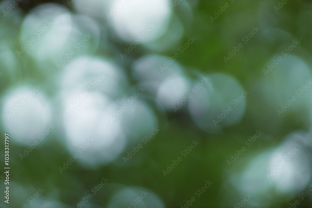 Aufkleber forest background out of focus. soft image with sunny weather. round bokeh. green background for des