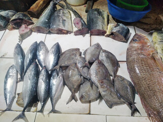 fresh fish at the market