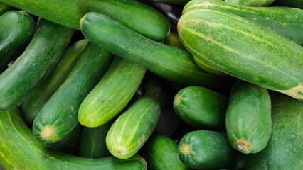 pile of green cucumbers food fresh vegetable