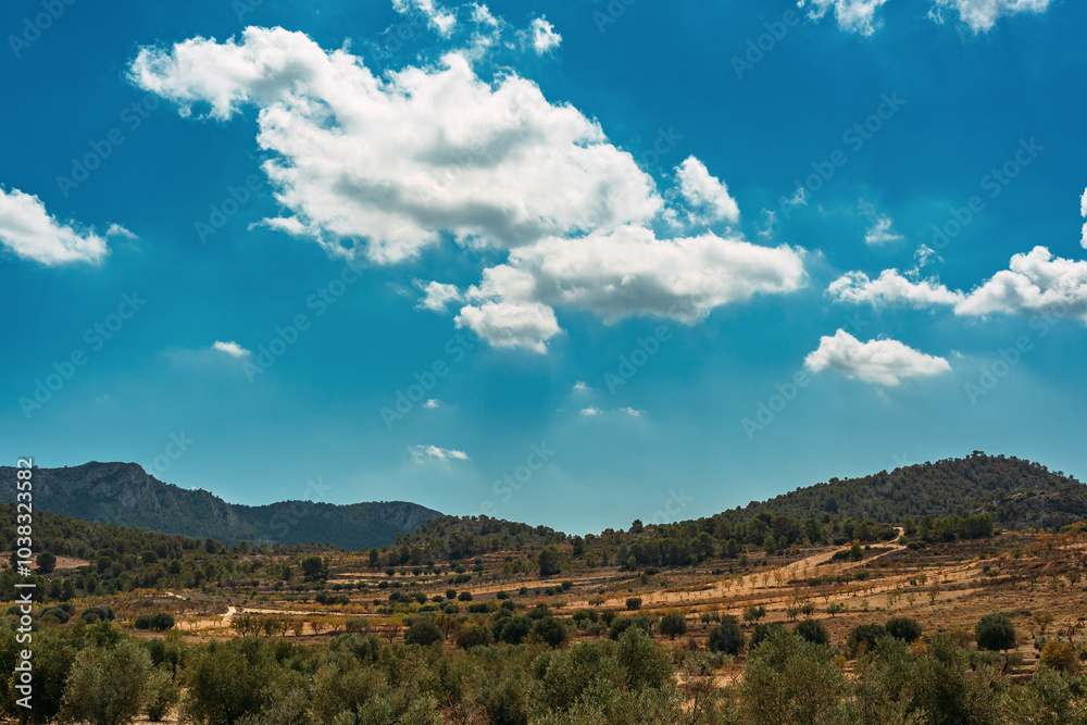 Canvas Prints Spanish countryside with olive and almond trees on slopes of mountains under blue sky with some clouds.