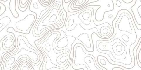 Topographic map contour line background vector concept with space. Geographic world topo with elevation.