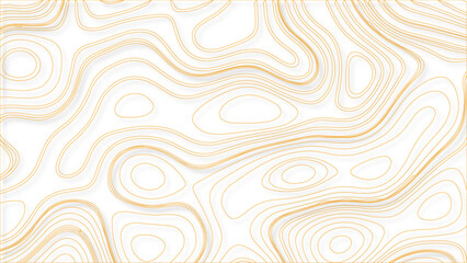 Topographic map contour line background vector concept with space. Vector pattern illustration template of topography.