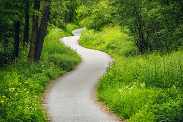Obraz premium landscape with path in the woods, curvy path through lush greenery, scenic bike trail surrounded by trees and shrubs, daylight, photorealistic