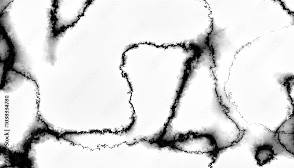Poster Blurred transparent gradient background. Elegant black wavy line on Transparent png overlay background