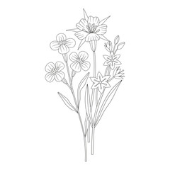 Wildflower bouquet with gagea, different meadow flowers, and blooming wild plants. Line art, minimal style, contour. Botanical hand-drawn elements for design projects. Vector illustration