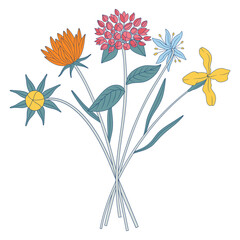 Bright bouquet of wildflowers. Bunch of meadow flowers with matthiola and snowdrop, wild plants, herbs. Botanical hand-drawn elements for design projects. Vector illustration