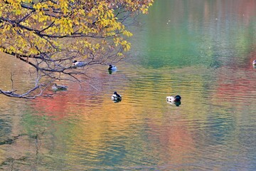 진해 내수면 생태공원 가을풍경