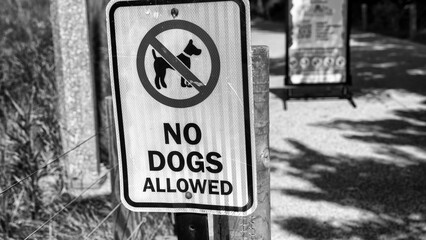 No Dogs Allowed sign in a city park
