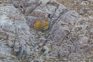 Texture of steep rocky foothills of Shirkooh in autumn. Yazd, Iran.