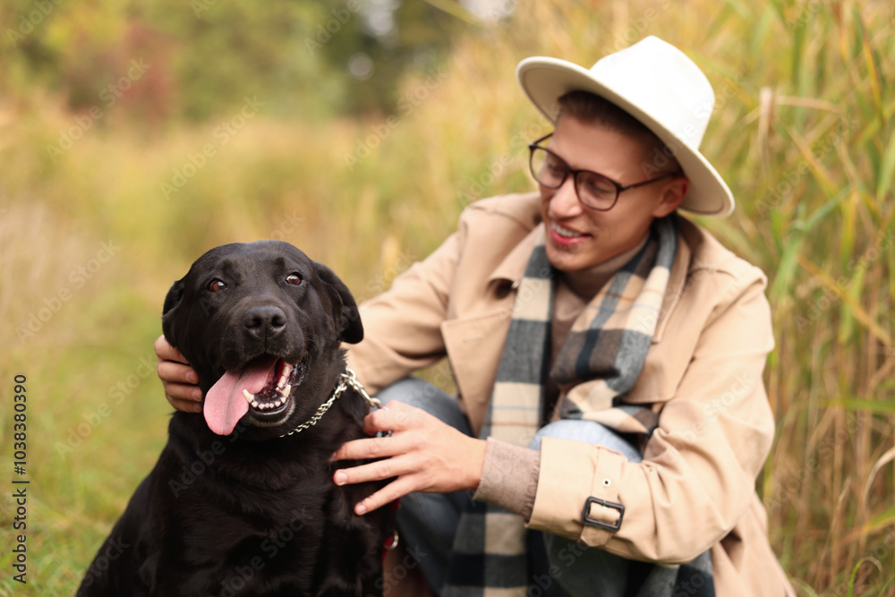 Poster Smiling man with cute dog outdoors on autumn day