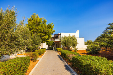 Pathway surrounded by green bushes and olive trees leading to hotel under clear sky in garden. Crete. Greece.