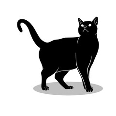 Cat silhouette illustration Design Cat silhouette icon