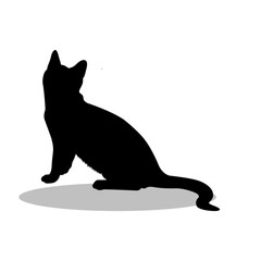 Obraz premium Cat silhouette illustration Design Cat silhouette icon
