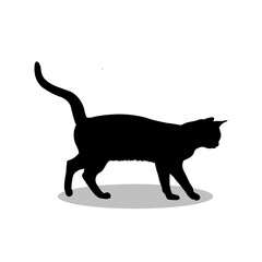 Cat silhouette illustration Design Cat silhouette icon
