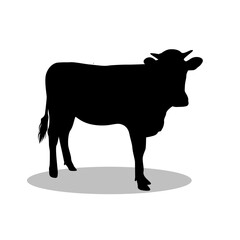 Cow silhouette illustration Design Cow silhouette icon