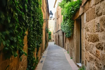 A charming narrow alley lined with stone buildings and ivy-covered walls in a historic European town, offering a serene and picturesque pathway through old-world architecture