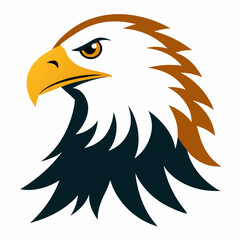 Obraz premium eagle head illustration