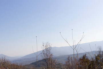 Sicevac gorge at autumn