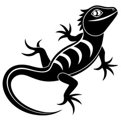 lizard on a black background