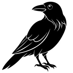 illustration of a crow