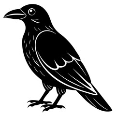 crow on a white background