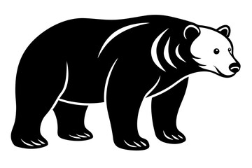 illustration of a bear