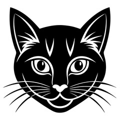 black and white cats