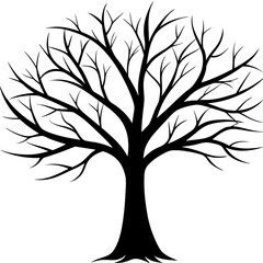 Obraz premium silhouette of tree