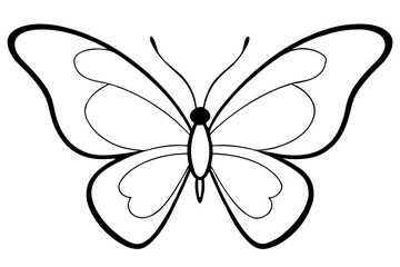black and white butterfly